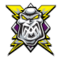 MANCHESTER STORM