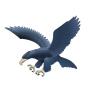 Ateneo Blue Eagles