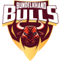 Bundelkhand Bulls