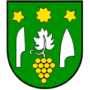 TJ Vinohrad Cebovce
