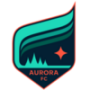 Minnesota Aurora
