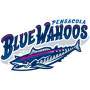 Pensacola Blue Wahoos