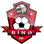 Bina