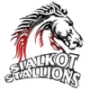 Sialkot Region