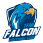 Taoyuan Falcon