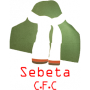 Sebeta City