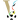 Viareggio Cup, Femmes