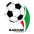 Hazfi Cup