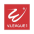 V-League