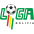División Profesional, Apertura